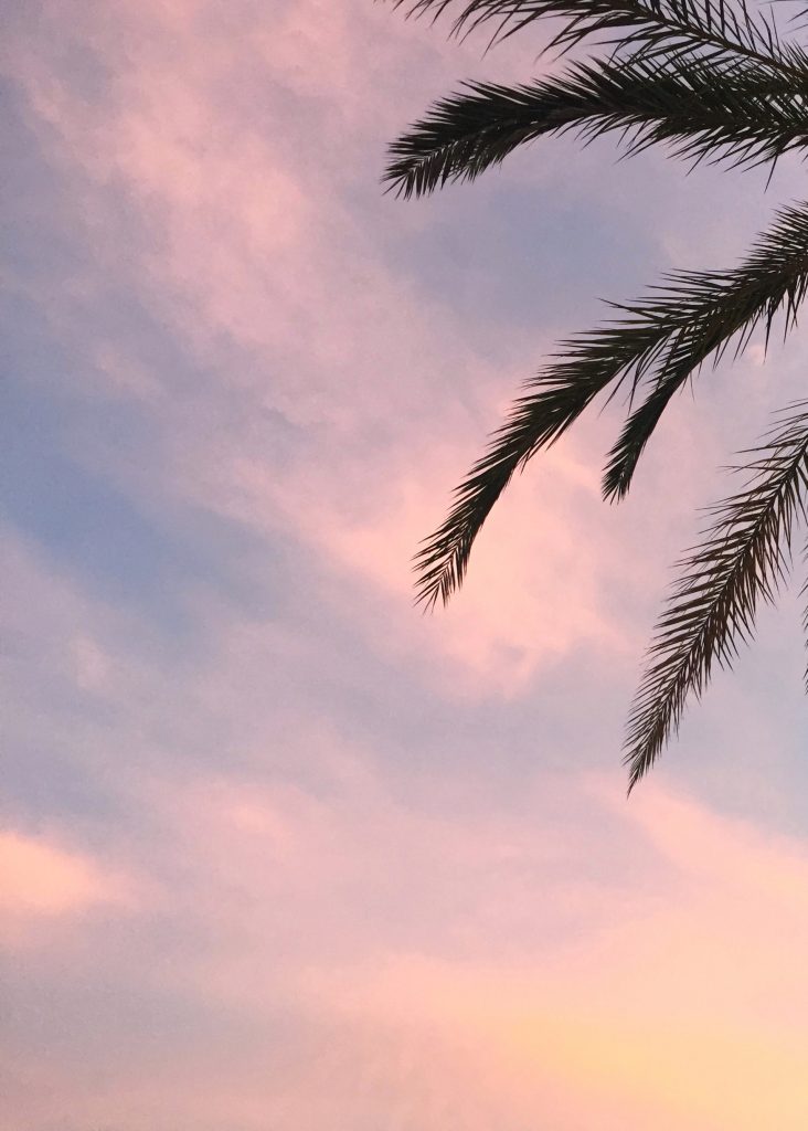 kola weddingz | Ibiza | sunset | Sonnenuntergang