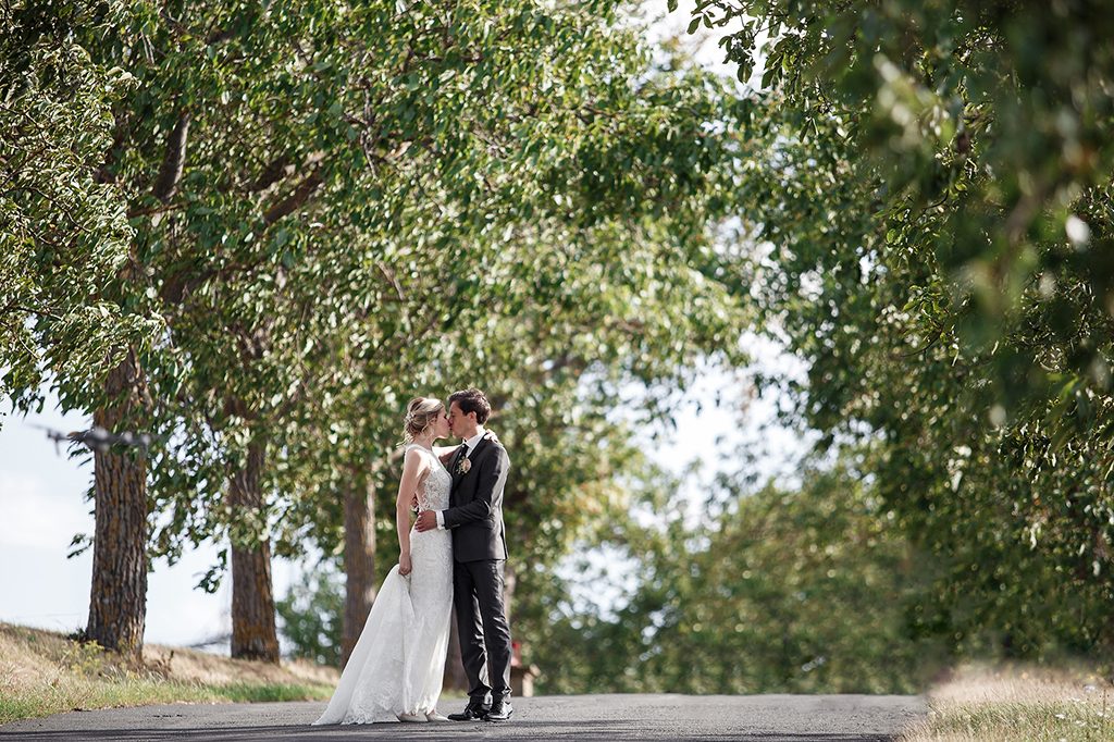 Über den Dächern von Würzburg | Schlosshotel Steinburg | Bayern
