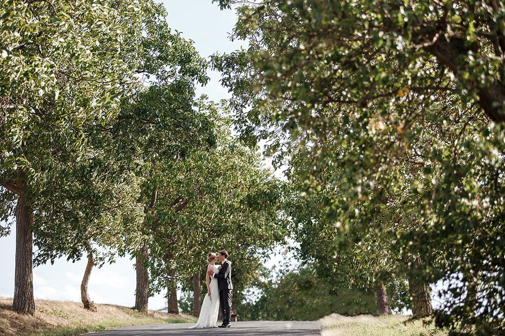 Über den Dächern von Würzburg | Schlosshotel Steinburg | Bayern