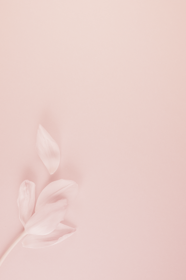 kola weddingz | Finest Weddings & Events | Background